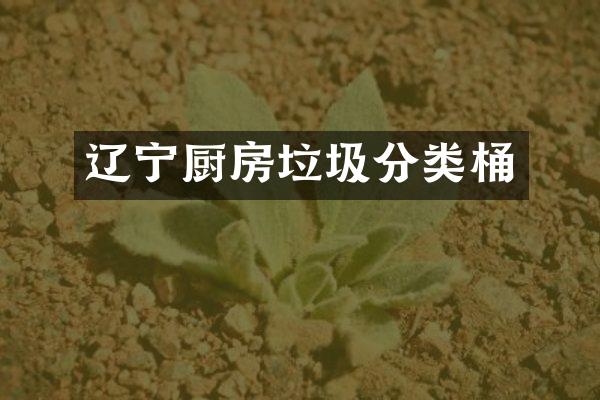 辽宁厨房垃圾分类桶