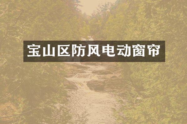宝山区防风电动窗帘