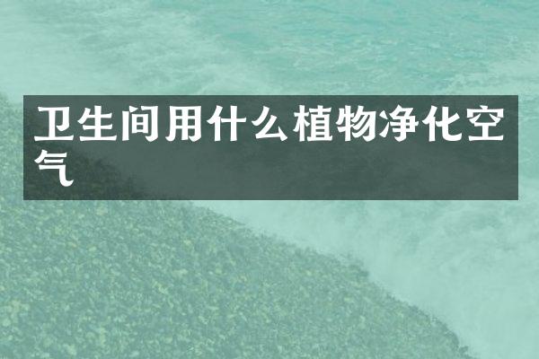 卫生间用什么植物净化空气