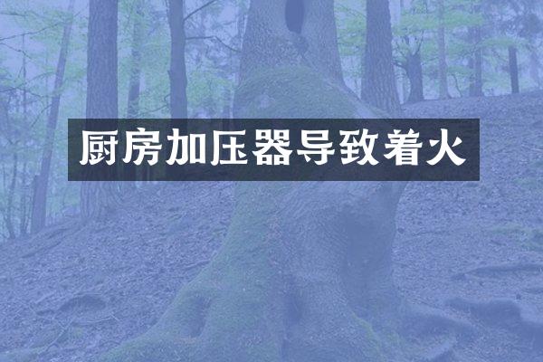 厨房加压器导致着火