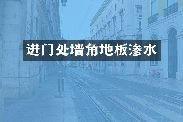 进门处墙角地板渗水