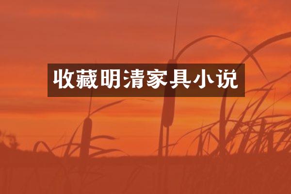 收藏明清家具小说