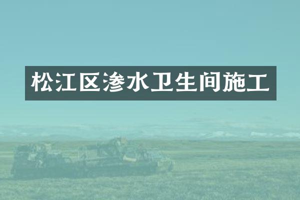 松江区渗水卫生间施工