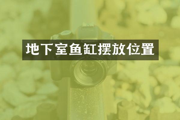地下室鱼缸摆放位置
