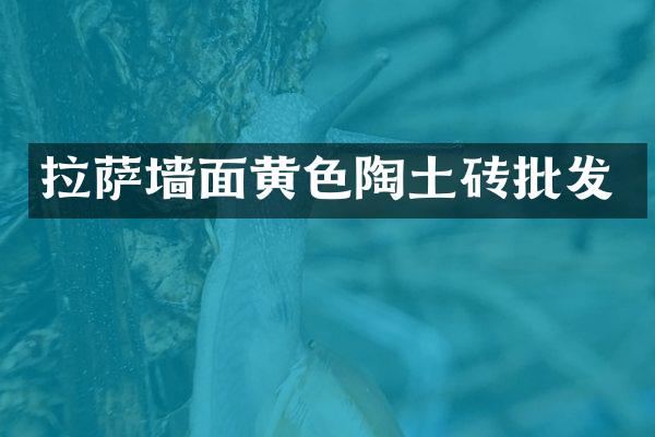 拉萨墙面黄色陶土砖批发