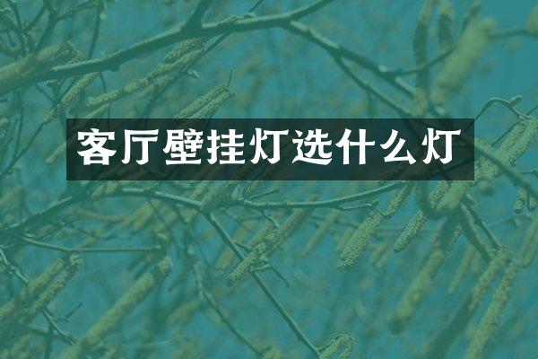客厅壁挂灯选什么灯