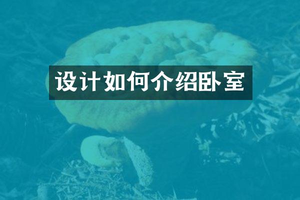 设计如何介绍卧室