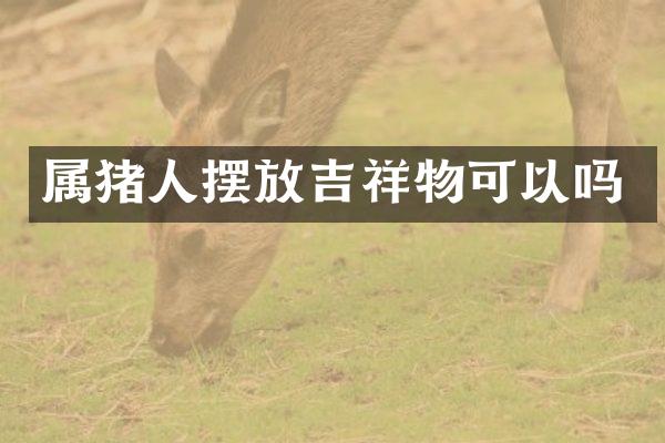 属猪人摆放吉祥物可以吗