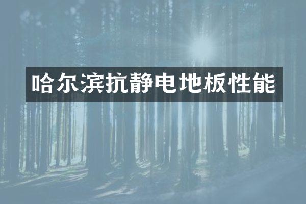 哈尔滨抗静电地板性能