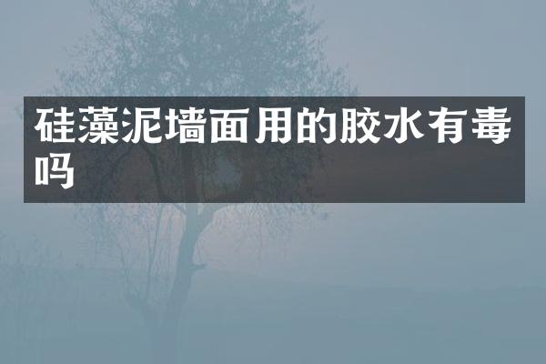 硅藻泥墙面用的胶水有毒吗