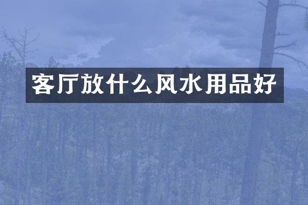 客厅放什么风水用品好