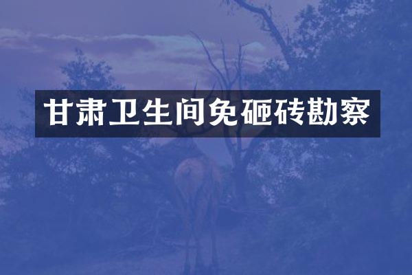 甘肃卫生间免砸砖勘察