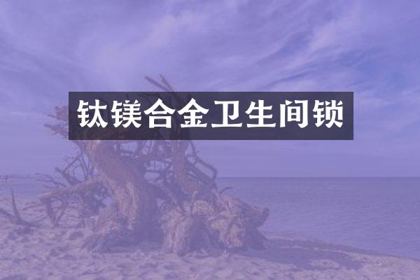 钛镁合金卫生间锁