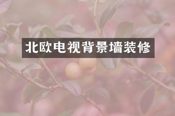 北欧电视背景墙装修