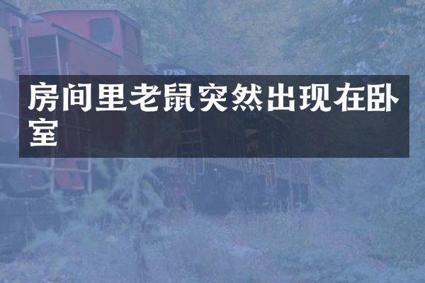 房间里老鼠突然出现在卧室