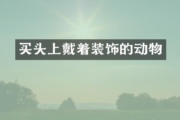 买头上戴着装饰的动物
