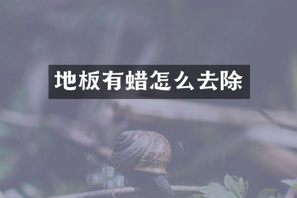 地板有蜡怎么去除