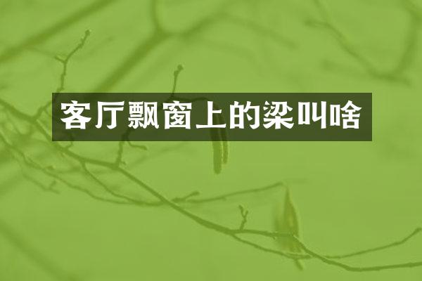 客厅飘窗上的梁叫啥