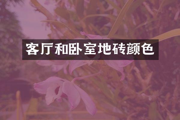 客厅和卧室地砖颜色