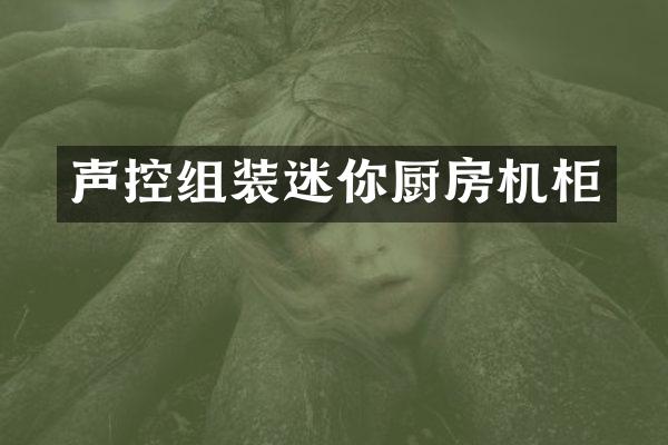 声控组装迷你厨房机柜