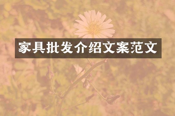 家具批发介绍文案范文