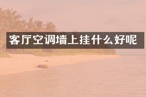 客厅空调墙上挂什么好呢