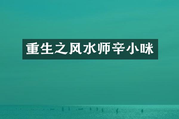 重生之风水师辛小咪