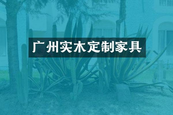 广州实木定制家具