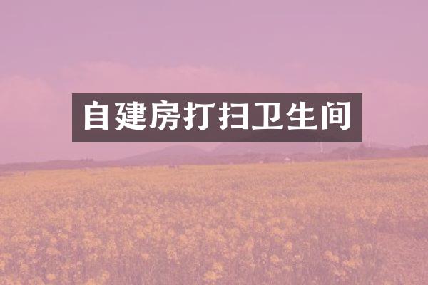 自建房打扫卫生间