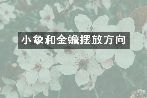 小象和金蟾摆放方向