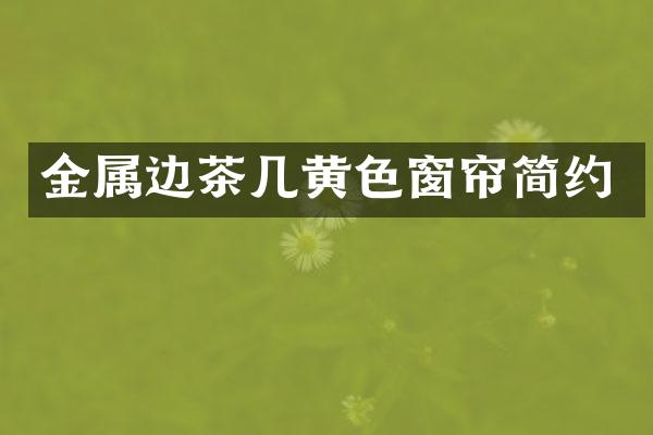 金属边茶几黄色窗帘简约