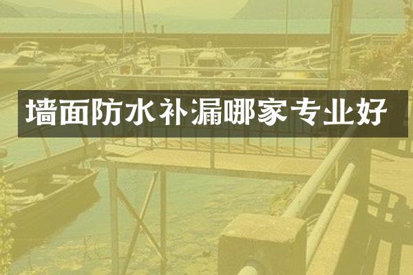 墙面防水补漏哪家专业好