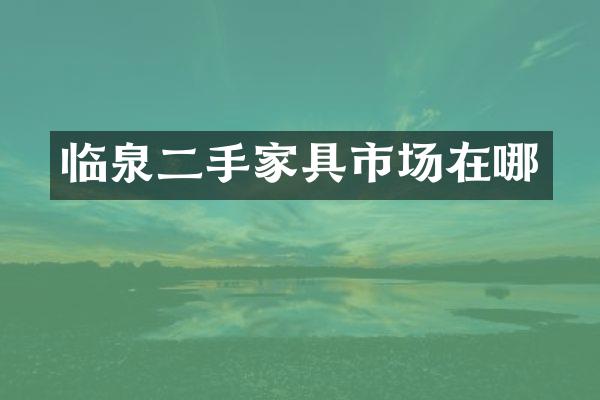 临泉二手家具市场在哪