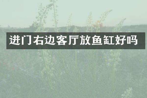 进门右边客厅放鱼缸好吗