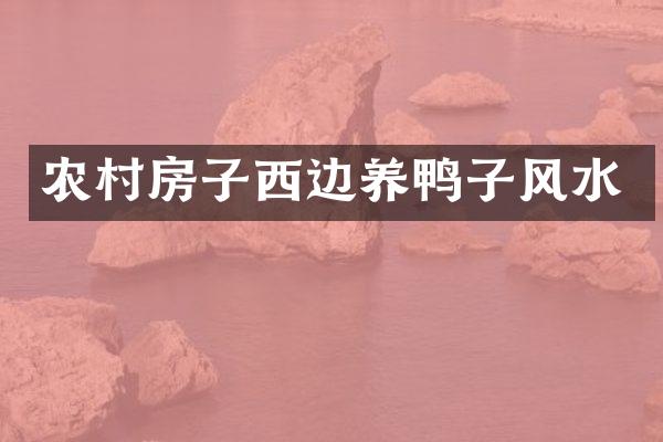 农村房子西边养鸭子风水