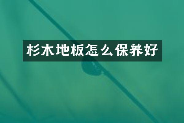 杉木地板怎么保养好