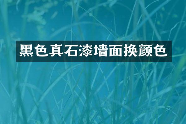 黑色真石漆墙面换颜色