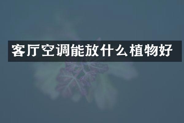 客厅空调能放什么植物好