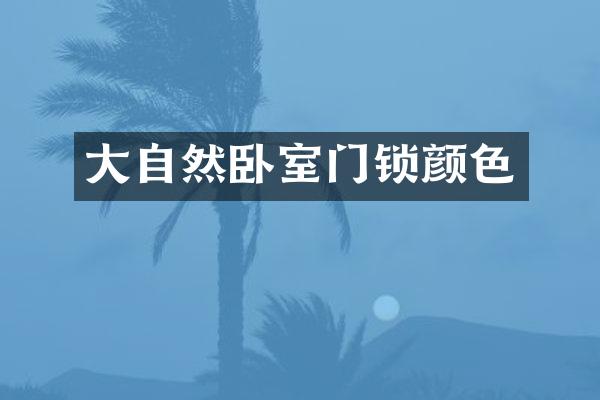 大自然卧室门锁颜色