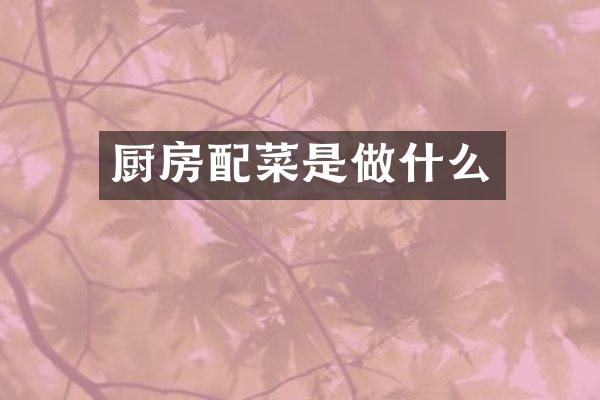 厨房配菜是做什么