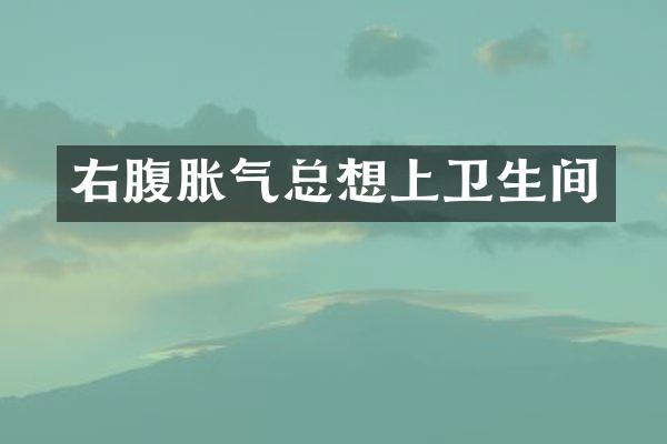 右腹胀气总想上卫生间