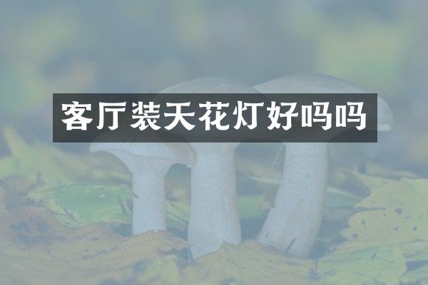 客厅装天花灯好吗吗