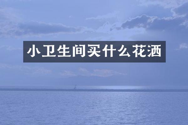 小卫生间买什么花洒