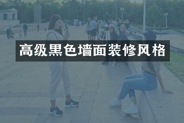 高级黑色墙面装修风格