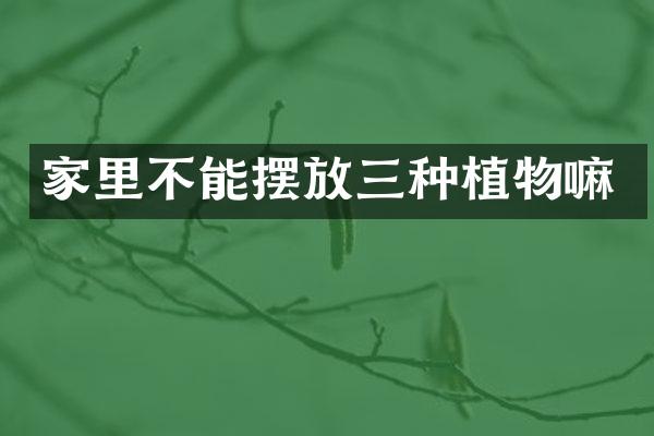 家里不能摆放三种植物嘛