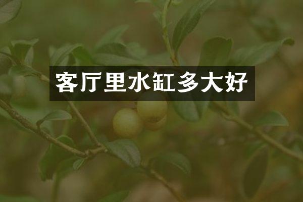 客厅里水缸多大好