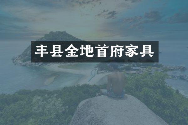 丰县金地首府家具