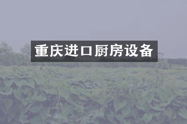 重庆进口厨房设备