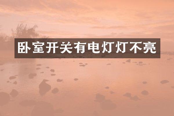 卧室开关有电灯灯不亮