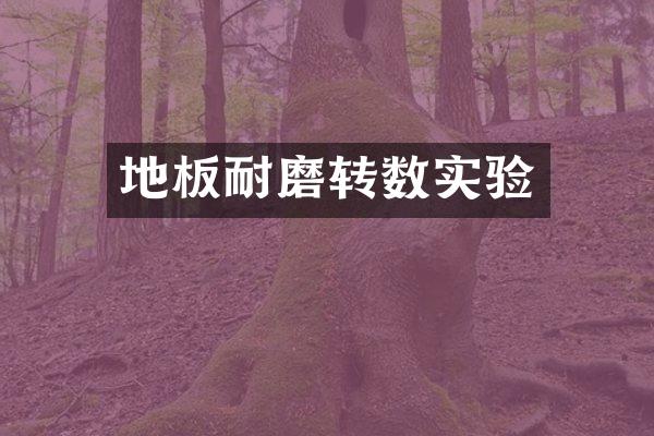 地板耐磨转数实验